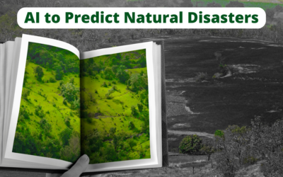 Prediction of Artificial Intelligence About Natural Disasters