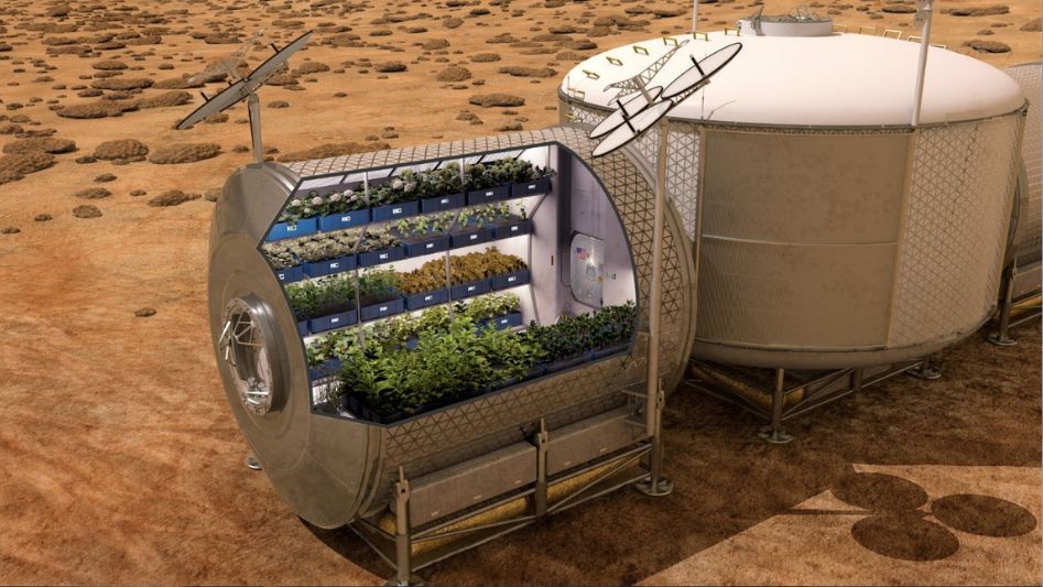 hydroponics on mars