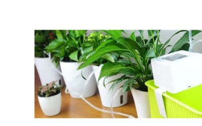 How to Make an Automatic Plant Watering System