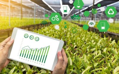 The Role of AI in Agriculture: Improving Efficiency and Sustainability