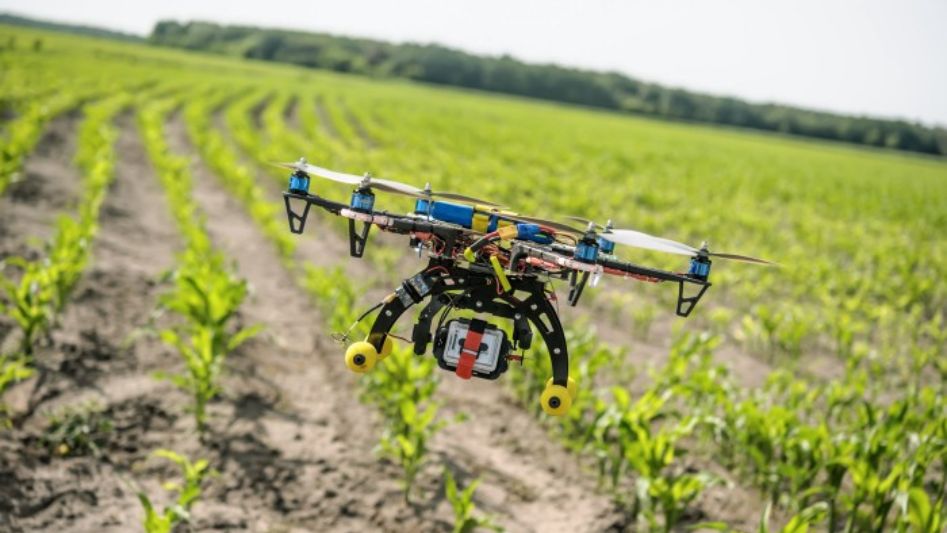 The Role of AI in Agriculture